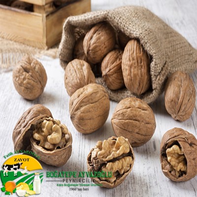 Kağızman Kabuklu Ceviz (1KG)